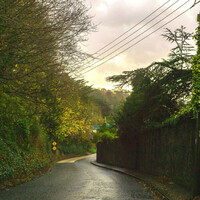 My Favourite Drive: Leah Cullen on the rewarding road to Dublin's Strawberry Beds