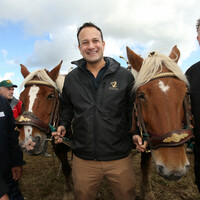 T&Atilde;&iexcl;naiste asked about boost to Garda Commissioner's salary as Leo tries out his ploughing skills 