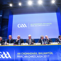 Explainer: What are the key hurling motions up for debate at Saturday's Special Congress?