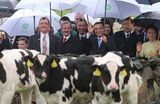 After project China, Bord Bia is hunting for the next billion-euro Asian market