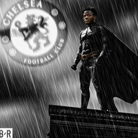 #Batsman, Grandad's Centre of Excellence and AO - it's Tweets of the Week 