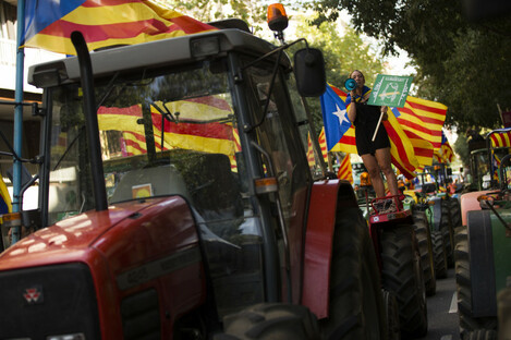 A woman with the estelada, or Catalonia independence flags, shouts slogans on top of parked tractors during a protest by farmers in Barcelona today.