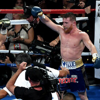 WBC have ordered a Gennady Golovkin-Canelo Alvarez rematch