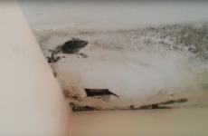 How homeowners could be saved from a repeat of Ireland's pyrite disaster