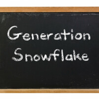 'Middle-aged, middle-class deriders of millennials are biggest snowflakes of all'