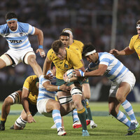 Australia overcome Pumas in hard-fought win to finish second in Rugby Championship 