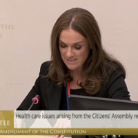 Dr Rhona Mahony tells Eighth Committee: 'We must address the criminalisation of medical care'