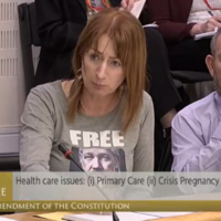 'These are the cases that keep us up at night' - GPs tell politicians about crisis pregnancy