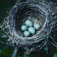 The 5 at 5: Thursday 