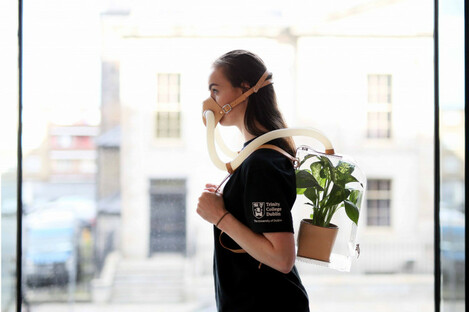 A plant breathing apparatus - one of the exhibitions on display as part of In Case of an Emergency. 