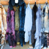 Gucci: 'Animal fur isn't "modern". Wearing fur belongs in the Stone Age'