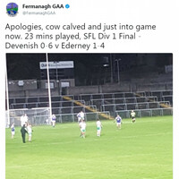 The Fermanagh GAA Twitter account sent potentially the best Irish tweet of 2017 when covering their league final