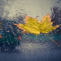 Poll: Did you decide to travel this morning?