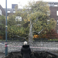 School closures, power outages and widespread disruptions: How Ophelia will affect Ireland today