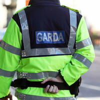Man killed in Tipperary while clearing fallen tree with chainsaw