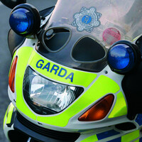 Man killed in Louth as tree falls on his car