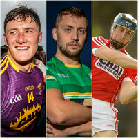 Tipp, Wexford and Cork stars named on 20-man panel for hurling/shinty international