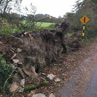 Thank you: A letter from my Ophelia-hit house to those who helped us