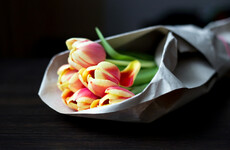 The 5 at 5: Thursday