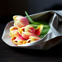 The 5 at 5: Thursday