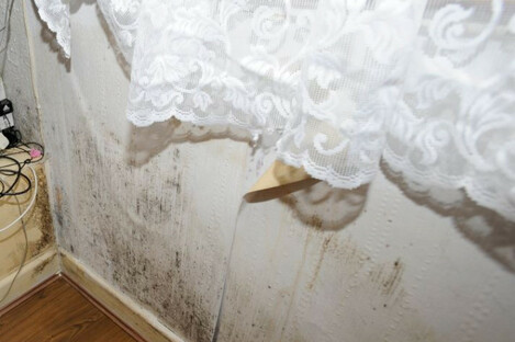 Mould in an apartment which was used as part of the complaint