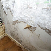 Poor social housing conditions fail to uphold tenants' human rights