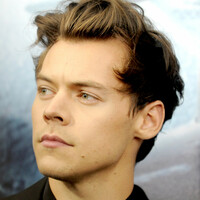 Fans 'disgusted' after singer Harry Styles was sexually assaulted on stage