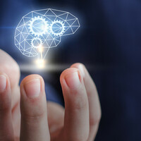 Column: Without tax breaks, skilled workers and innovation, Ireland is Albania without the weather