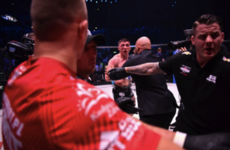 Parke punched by opponent's cornerman after controversial ending to Dublin bout
