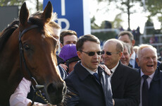 Aidan O'Brien breaks world record for Grade One victories