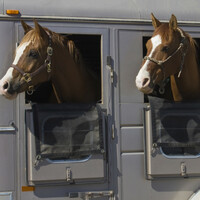 Prolific DoneDeal scam artist caught in 'sting' is jailed for five years