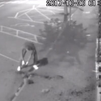 A Louth shop's CCTV picked up a man fixing their flower pots after they were vandalised