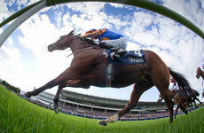 O'Brien, O'Brien and Mullins line up massive Irish challenge for the Melbourne Cup