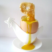 The 9 at 9: Saturday