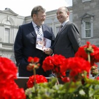 National Children's Hospital review group to report within 56 days 