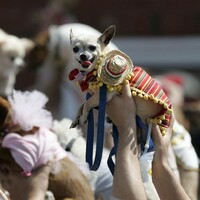 The Daily Fix: Monday