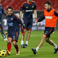 Preview: Spain without Fabregas for South Korea friendly