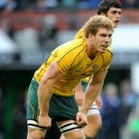 Pocock to lead Australia from the front against Scotland 