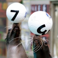 VAT, hospitals and the speed of light: the week in statistics