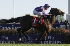 Breeders' Cup: O'Brien says Santa Anita should suit St Nic
