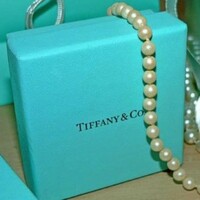 12 companies which originally sold entirely different products