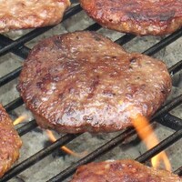 Oireachtas meeting on horse burgers delayed by new findings