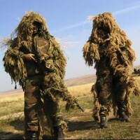 Sitdown Sunday: 7 deadly reads