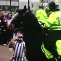 So it turns out the Newcastle fan who punched a horse is an animal lover