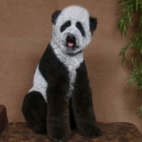 These animals are in the throes of an identity crisis, ok?