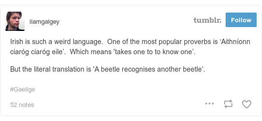 ?width=540&version=2742516