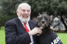 Bit-of-a-buffoon inquiry: The week's news skewed