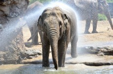 So when do we officially get to call this a heatwave?