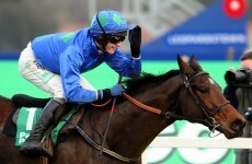 Champion Hurdle Preview: who will step into Binocular's shoes?