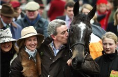 Irish racing's finest hour: Cheltenham, 2006